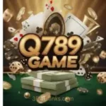 Q789 Game